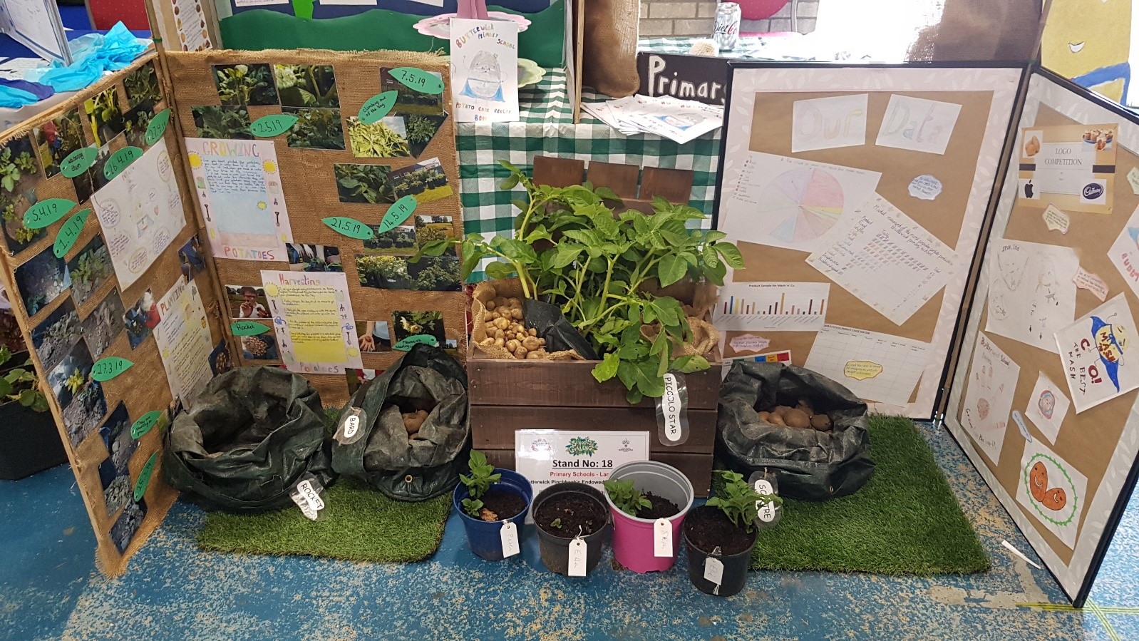 Our stand at the Lincolnshire show