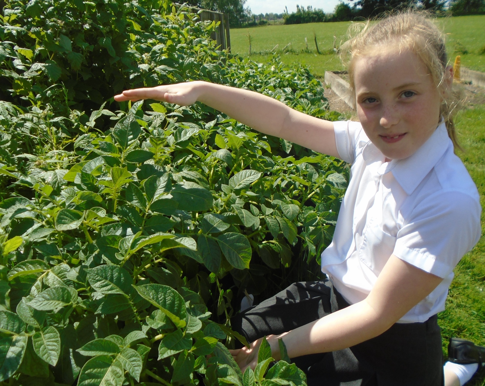 Child pointing at the vegetable plot