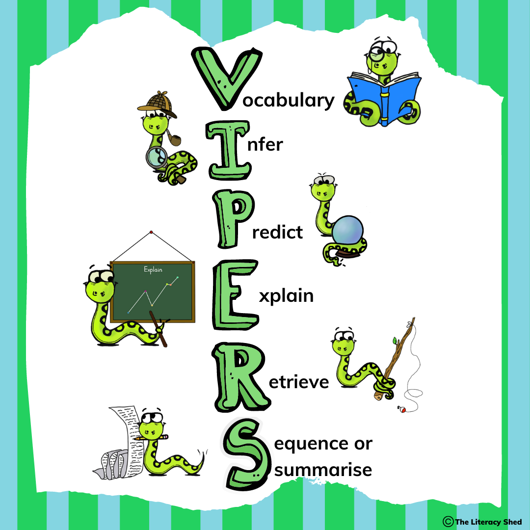 Explanation of VIPERS acronym